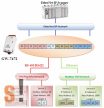 GW-7472 CR # Átjáró/Gateway/EtherNet IP - Modbus TCP/RTU/PoE/RS-422/485, ICP DAS